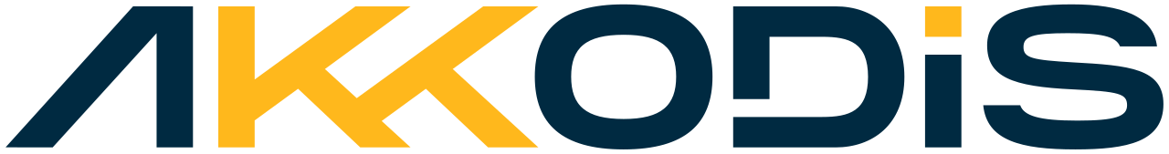 Partner 21